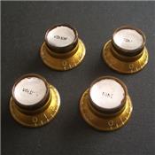 4 Knobs Gold/Silver Reflector Gibson style US Relic