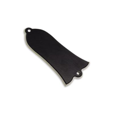 CACHE TRUSS ROD COVER GIBSON RELIC+ VIS HOSCO