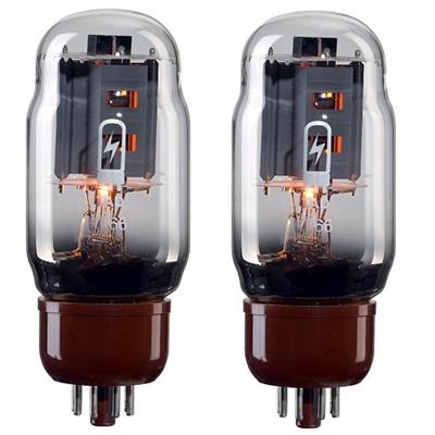 PAIRE DE LAMPES DE PUISSANCE TAD KT66 (RT822)