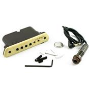 MICRO M1 ACTIF LR BAGGS GUITARE ACOUSTIQUE