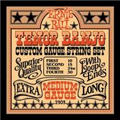 CORDES CORDES ERNIE BALL 010-030 POUR BANJO TENOR 2303