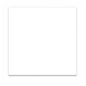 PLAQUE PICKGUARD 30x29cm BLANC 1 PLI