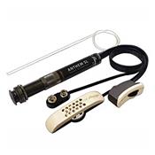 MICRO ACOUSTIQUE L.R.BAGGS ANTHEM SL CORDES NYLON