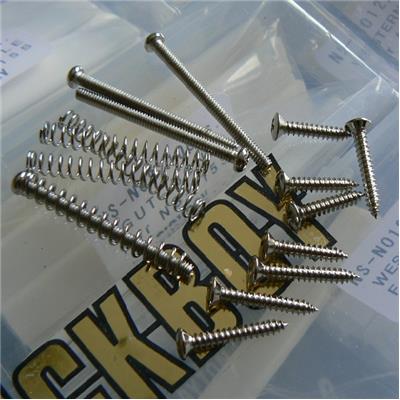 PACK VIS + RESSORTS CHROME 2 MICROS HUMBUCKER 2.9mm