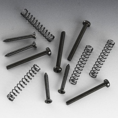 PACK VIS + RESSORTS NOIRS SCHALLER HUMBUCKER CHEVALET