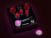 4 CAPUCHONS BOSTON FOOTSWITCH PHOSPHORESCENTS ROSES