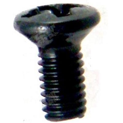 2 VIS NOIRES SELECTEUR MICROS METRIQUE TETE OVALE (M3)