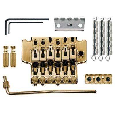 FLOYD ROSE COMPLET DOUBLE LOCK PLAQUE OR TFR-204-G