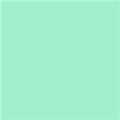 PEINTURE OPAQUE NITRO SURF GREEN DARTFORDS Spray 400ml