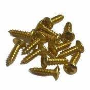 12 VIS PICKGUARD ET AUTRE DOREES EYPARTS