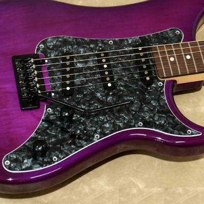 PICKGUARD VIGIER EXCALIBUR EXPERT BLACK PEARL