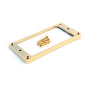 1 CONTOUR MICRO DORE COURBE MANCHE + VIS (3.8/5mm)