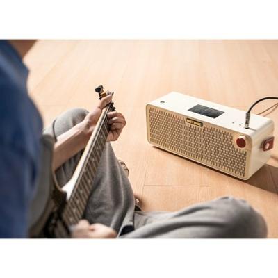 AMPLI MODELISATION HOTONE PULZE